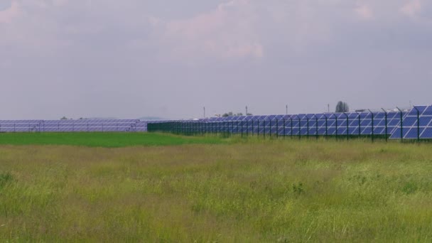 Solar park with cell panels generating green energy against grass field at windy day. Photovoltaic power station. Solar cell for renewable energy. Alternative electricity source on plant field. Eco power from PV modules producing electricity, plants - Footage, Video