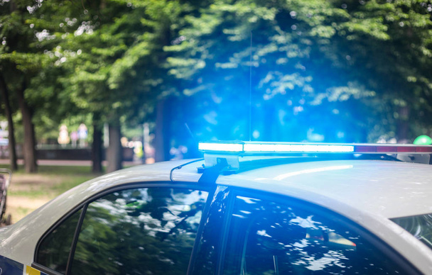 Блимає світло поліцейського автомобіля проти міського зеленого парку
 - Фото, зображення