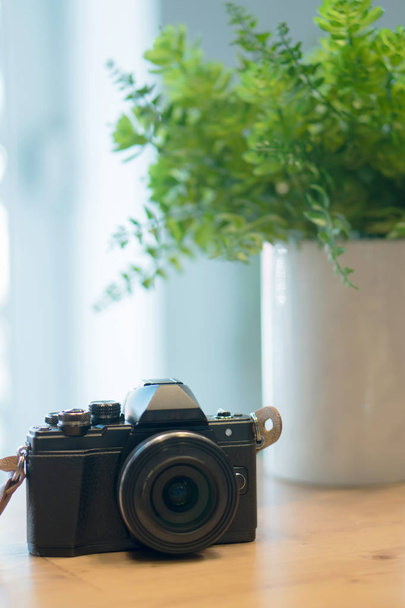 flower pot and retro camera. - Fotó, kép