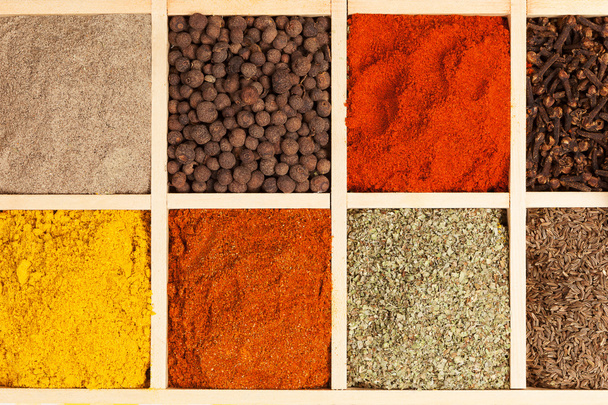 Spices collection. - Photo, Image