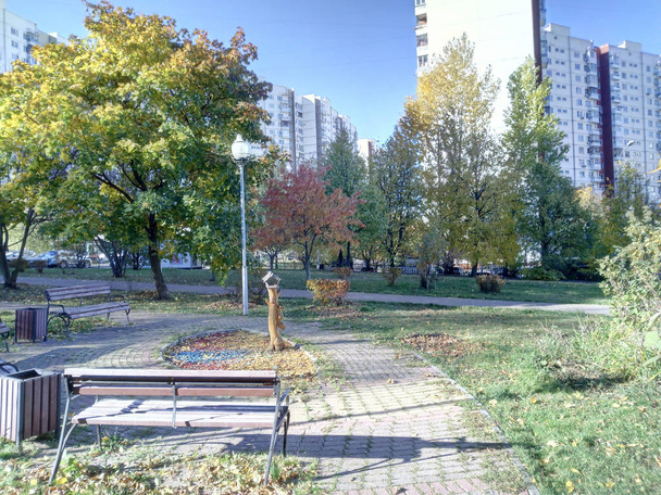 Autumn in city park at dry sunny day - Foto, Imagen