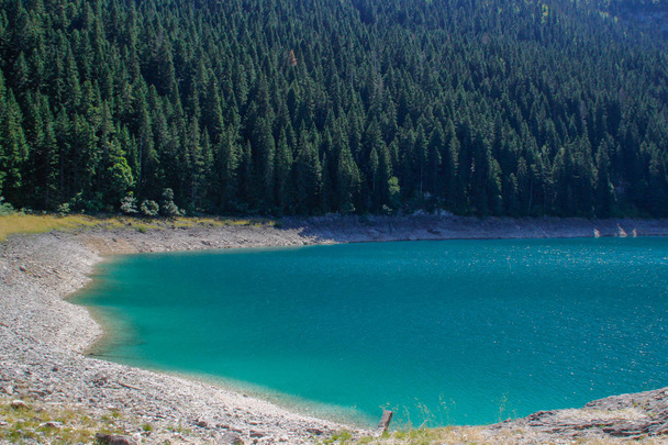 Рай з видом на Національний парк Дурміор в Чорногорії. Бірюзова вода озера, сосновий ліс і гори. Приголомшливі фону з природою. - Фото, зображення