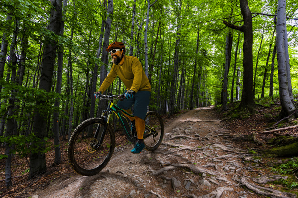 Ciclista de montaña montando en bicicleta en primavera montañas bosque landsca
 - Foto, imagen