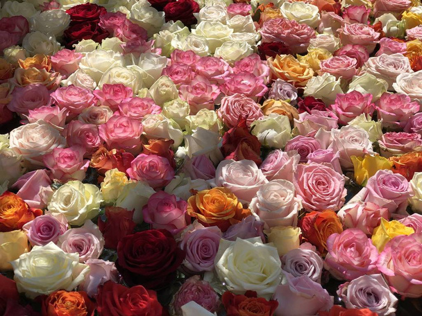 Uma fonte decorada com flores de rosas na cidade de Zurique, Suíça
 - Foto, Imagem