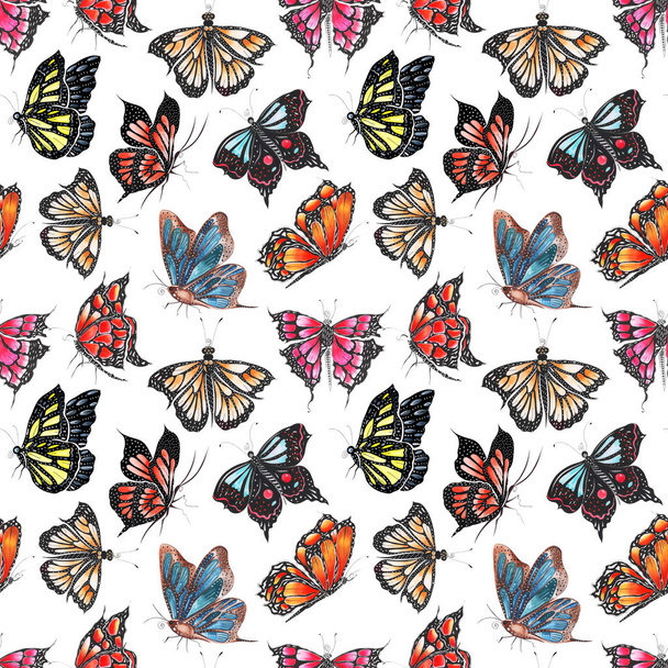 different butterflies pattern background  - Photo, Image