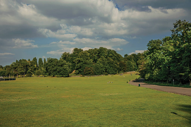 Ludzie na trawniku z drzewami w parku Laeken w Brukseli - Zdjęcie, obraz