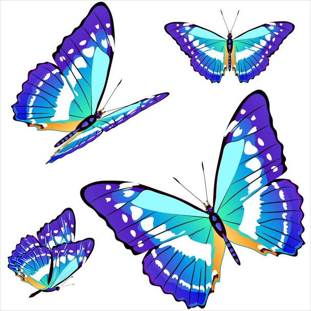 mariposas azules aisladas sobre fondo blanco - Vector, imagen