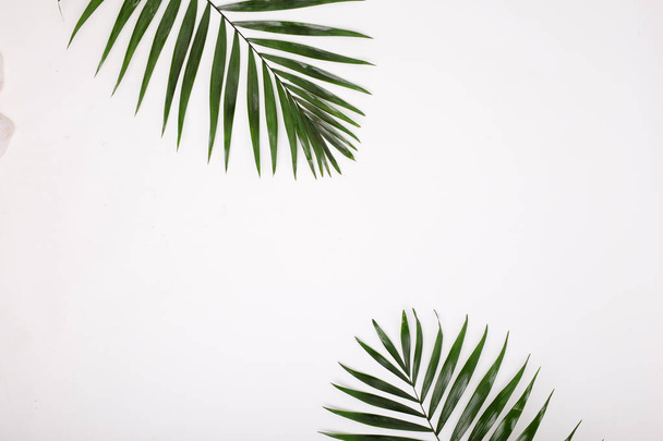 Tropical palm leafs on white background. Flat lay - Fotó, kép