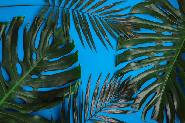Green tropical palm leaves on blue background. Summer creative flat lay. - Foto, immagini