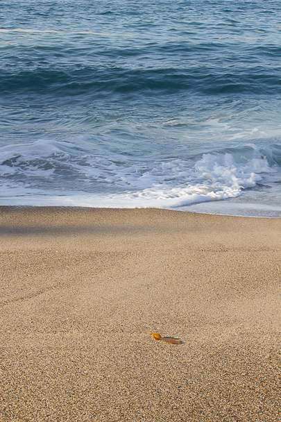schiuma rottura onda e controlavaggio schiuma su una costa sabbiosa
 - Foto, immagini