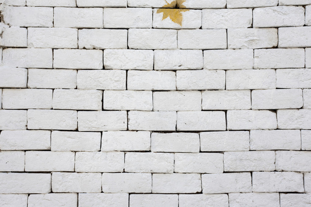 Beyaz duvara - Fotoğraf, Görsel