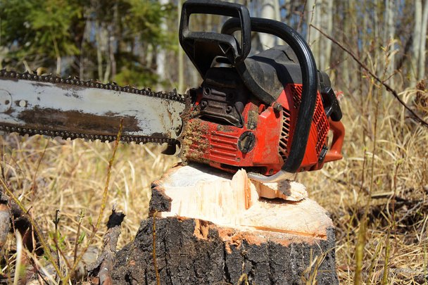 A close up image of an old dirty chainsaw resting on a tree stump.  - Photo, Image