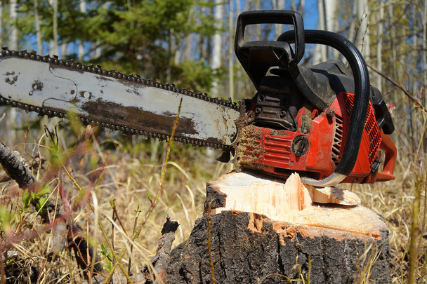 A close up image of an old dirty chainsaw resting on a tree stump.  - Photo, Image