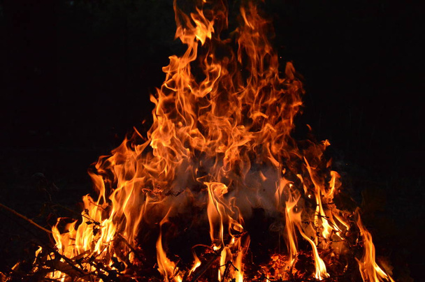 Zoom on a small wood fire in the night - Foto, Imagen