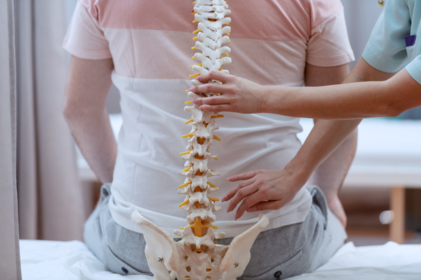 Enfermeira caucasiana segurando modelo de coluna vertebral contra as costas dos pacientes. Interior da clínica
. - Foto, Imagem