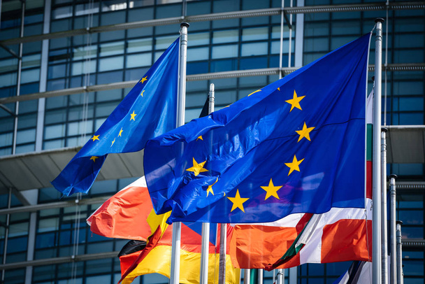 Flags of all member states of the European Union Parliament  - Photo, Image