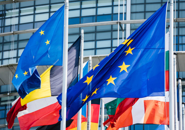 Vlaggen van alle lidstaten van het Parlement van de Europese Unie  - Foto, afbeelding