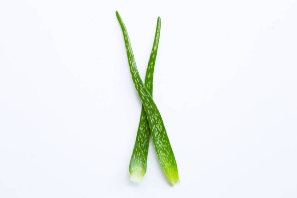 Aloe vera na bílém pozadí  - Fotografie, Obrázek