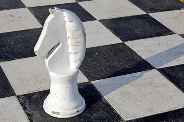 チェス - 写真・画像