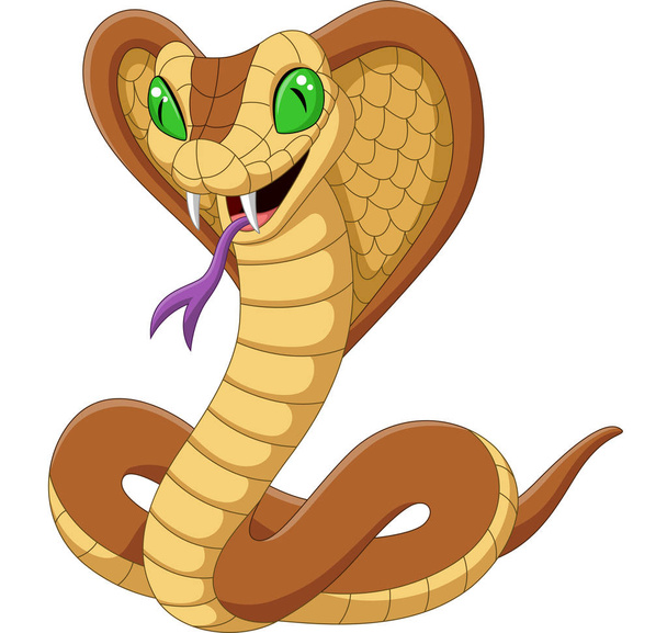 Vector illustratie van Cartoon koning Cobra Snake op witte achtergrond - Vector, afbeelding