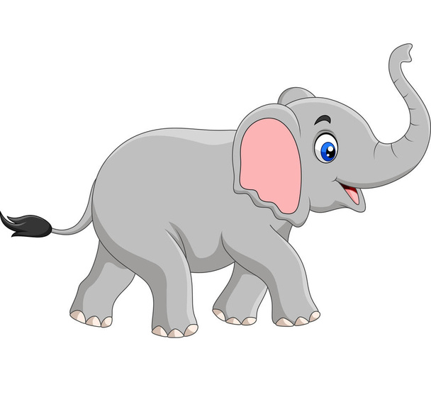 Illustrazione vettoriale di elefante dei cartoni animati isolato su sfondo bianco - Vettoriali, immagini