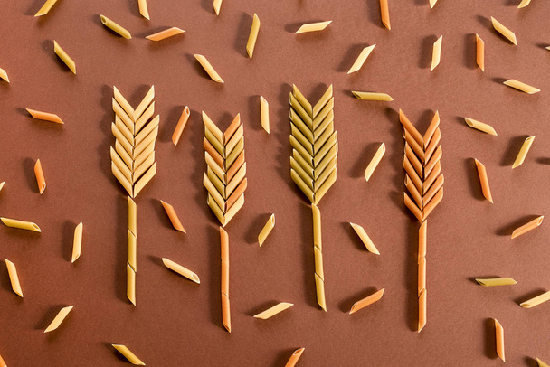 Different pasta in the form of tubes of brown, yellow and green colors and wheat ear made of them - Fotoğraf, Görsel