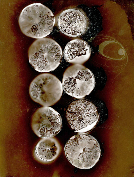 Blick auf Silber unter dem Mikroskop - Foto, Bild