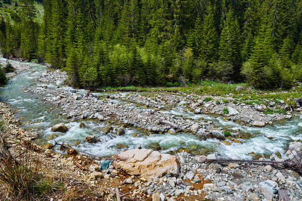 Paisaje con un río de montaña que fluye a través de bosques de pinos y pastizales
 - Foto, imagen