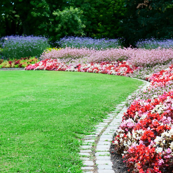 bright flower bed and green grass in the summer park - Foto, afbeelding