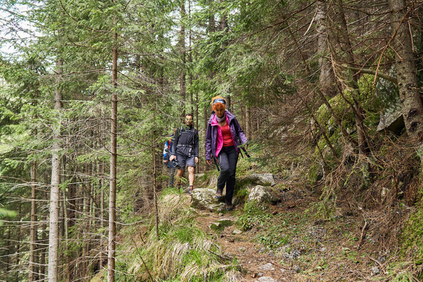 Tourists with backpacks hiking on a trail in the pine forests - Foto, Imagen