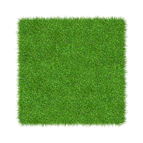 Green grass. Natural texture background. Fresh spring green grass. Isolated on white background with clipping path. - Foto, afbeelding