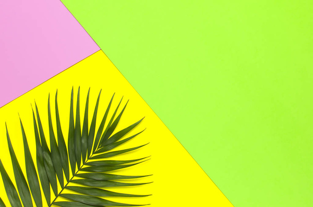 Tropical palm leaves on bright yellow green pink background. Flat lay, top view, copy space. Summer background, nature. Creative minimal background with tropical leaves. Leaf pattern - Photo, Image