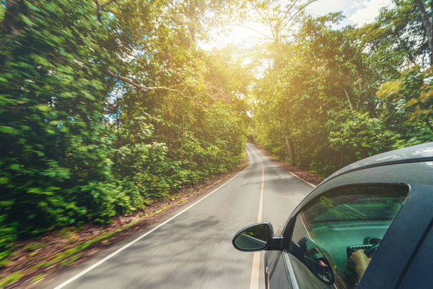 森林高速道路の道路を走行する車の側面図 - 写真・画像