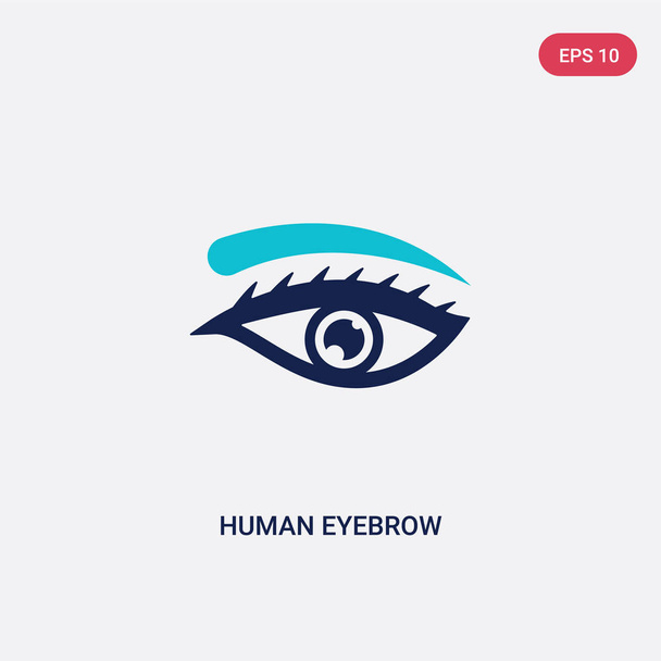 two color human eyebrow vector icon from human body parts concep - Vektor, Bild
