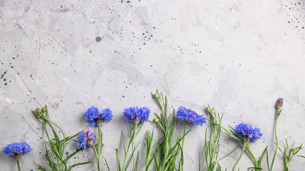 Bello sfondo grigio minimalista con fiori blu
 - Foto, immagini