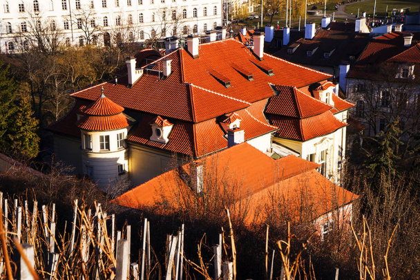 チェコ共和国プラハ市の赤い屋根のスカイラインへのトップビュー。テラコッタの屋根瓦、プラハ、チェコとプラハの都市の空中ビュー。プラハにあるテラコッタ屋根の古い町の建築 - 写真・画像
