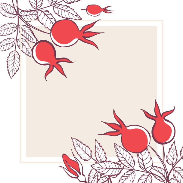 Square frame with flowers, leaves and rosehip berries. Hand-drawn illustration. - Vector, Image