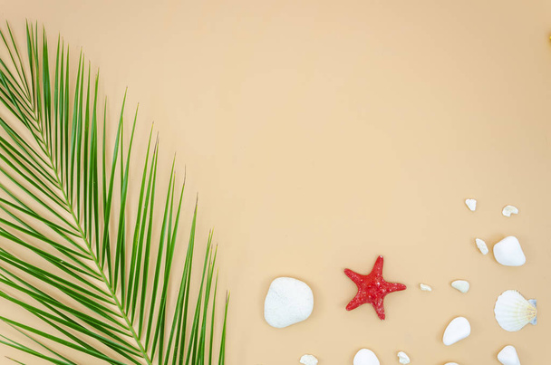 Летний макет пляжа с пальмовым листом, морскими звездами и морем. Баннер с видом сверху с пробелами для копирования текста
 - Фото, изображение