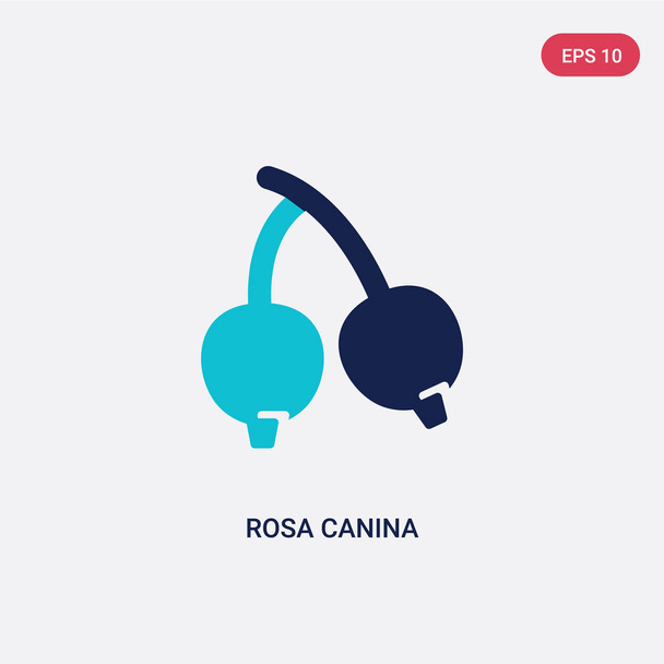 dwa kolor Rosa Canina ikona wektor z jesieni koncepcji. Izolowane  - Wektor, obraz