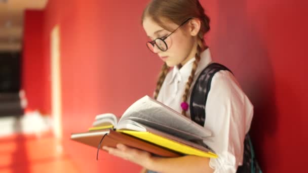 The girl is preparing for the exam in the corridor of the school. Close portrait of a schoolgirl with glasses - Footage, Video