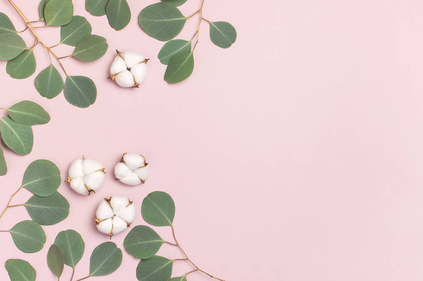 Katoen bloemen en groene eucalyptus twig op pastel roze achtergrond. Platte lay, bovenaanzicht, kopieer ruimte. Bloem samenstelling met delicate katoen bloemen. Katoen achtergrond. - Foto, afbeelding