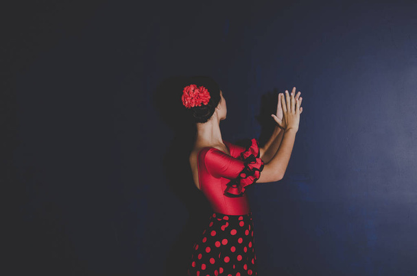 woman in red dress dancing spanish flamenco  - Foto, Imagem
