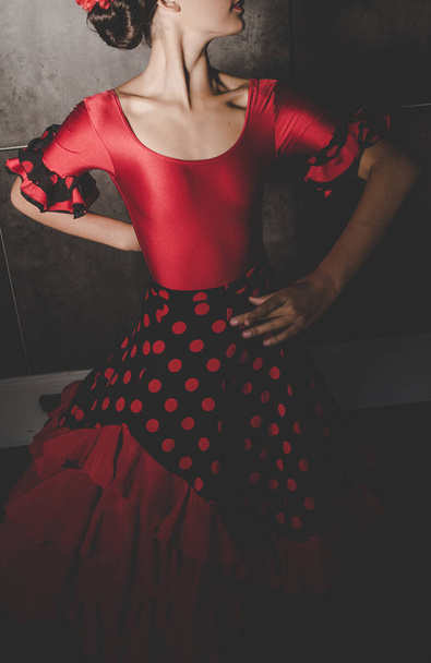 woman in red dress dancing spanish flamenco  - Photo, Image