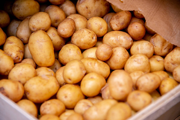 Πατάτες στην οθόνη της αγοράς - Φωτογραφία, εικόνα