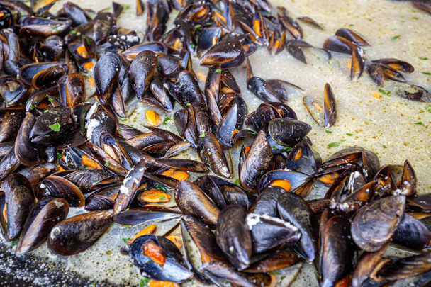 Steamed mussels  - Foto, Imagen