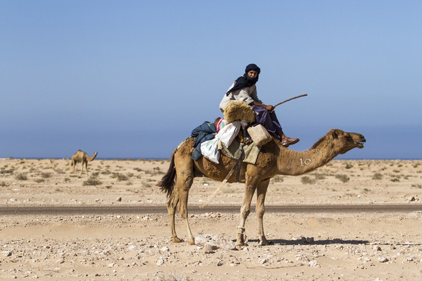 Nomad shepherd - Photo, Image