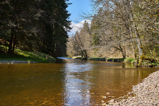 hiking in the river wutach canyon in the black forest in germany - Photo, Image