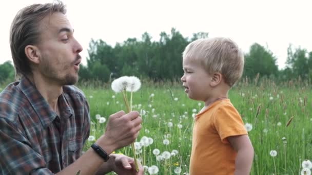 Vader en zoon hebben samen plezier op de natuur. Ze klappen op paardebloemen en bloem zaden verstrooien in de wind. Slow Motion. - Video