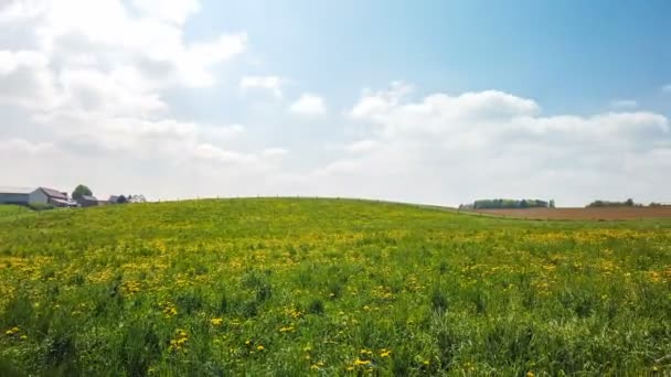 szenische Aufnahmen von schönen blühenden Feldern in den Niederlanden - Filmmaterial, Video