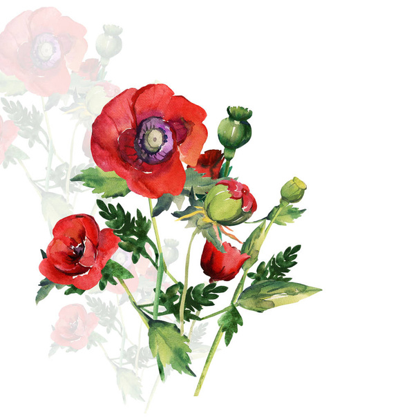 Sketch of a bouquet of flowering poppies. - Fotó, kép